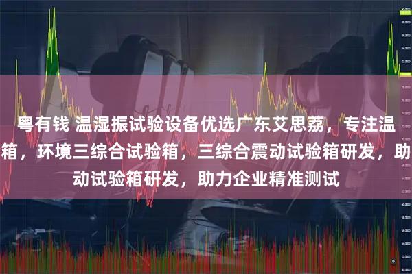 粤有钱 温湿振试验设备优选广东艾思荔，专注温湿振三综合试验箱，环境三综合试验箱，三综合震动试验箱研发，助力企业精准测试