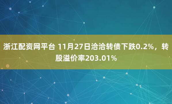 浙江配资网平台 11月27日洽洽转债下跌0.2%，转股溢价率203.01%